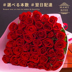 https://thumbnail.image.rakuten.co.jp/@0_mall/mamyrose/cabinet/06186173/b-1-red-2110.jpg