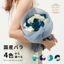 【送料無料】 4色から選べる青バラ