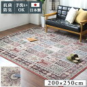 【要エントリー最大400円クーポン】 200x250cm ラグ イザヴェル・アースガル 全2色 | カーペット 韓国 おしゃれ 3畳 かわいい オリエンタル オリエンタル柄 洗える デザイン 国産 ペルシャ風 ペルシャ柄 長方形 抗菌 防ダニ 防臭 毛足が短い 柄 絨毯 オールシーズン レッド