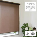 【5000円以上でマラソンP4倍】 45×180 ロールスク