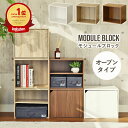 オープンブロックシェルフ モジュール 全3色 | キューブボックス カラーボックス ボックス 積み重ね 収納ボックス オープンラック 幅42cm 収納BOX 前開き オープンカラー オープンカラーボックス a4対応 安い A4ファイル対応