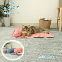 チェア クッション 座面 イス 椅子 いす サポート おすすめ チェアパッド テレワーク リモート GY グレー グレイ 灰色 PI PK ピンク BL ブルー 青 おしゃれ