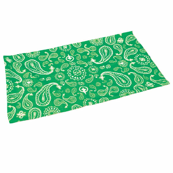 【楽天最安値に挑戦!】らくらくバンダナ(1枚)緑 43?984