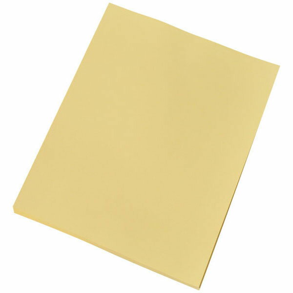 【楽天最安値に挑戦!】カラーコピー用紙 B4 クリーム CPY003 1包