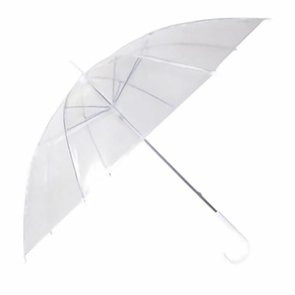 【最安値に挑戦!】POE傘50 透明