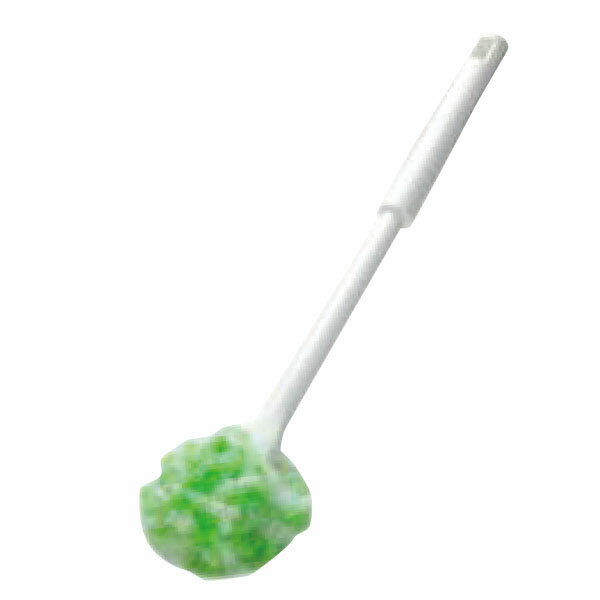 コーティング用　トイレクリーナー