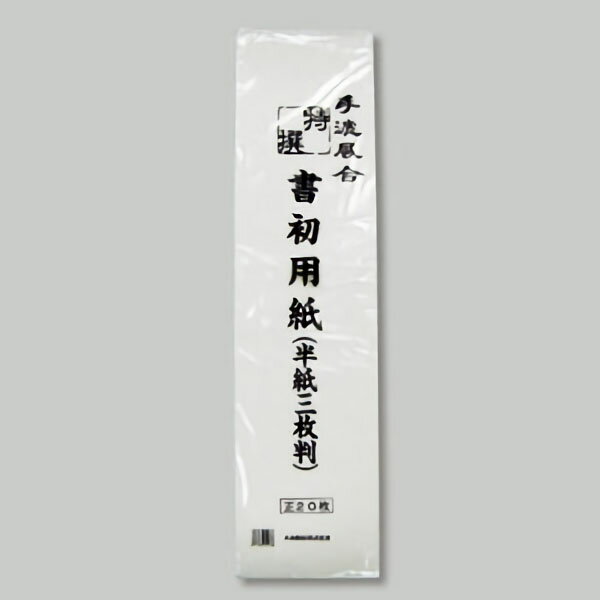 【楽天最安値に挑戦!】書初用紙　三枚判