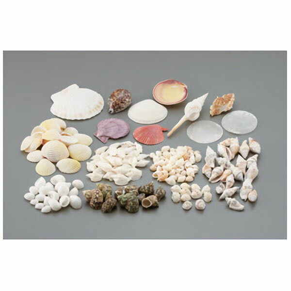 �ںǰ��ͤ�ĩ��ۥ����륢�����ȡ�1kg����05��1608 �����ͳ����ˡ�