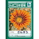 ジャポニカ学習帳 さんすう17マス JL−2 社会ノート 学習帳 ジャポニカ学習帳 ノート 学習帳 ノート 算数ノート 4901772010203