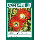 ジャポニカ学習帳　こくご12マス十字リーダー入　　JL−9 国語ノート 学習帳 ジャポニカ学習帳 ノート 学習帳 ノート 国語ノート 4901772010906