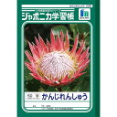 ジャポニカ学習帳 かんじれんしゅう50字十字リーダJL−48 国語ノート 学習帳 漢字練習ノート ジャポニカ学習帳 ノート 学習帳 ノート 国語ノー...