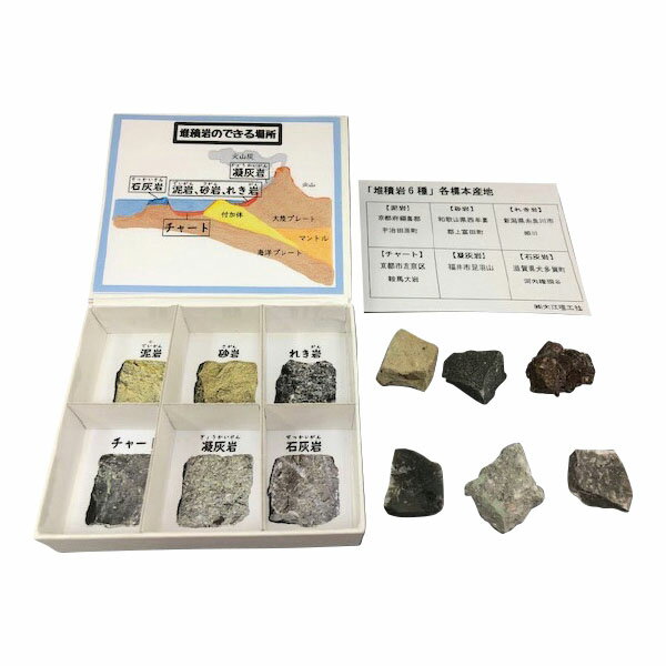 楽天学びmonoミニ標本シリーズ「堆積岩6種」 岩石標本 標本（岩石） 地学学習用具 4589580604953