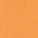 色上質紙　オレンジ　A3　厚口 1包500枚 PPC用紙 インクジェットプリンタ用紙・ラベル 上質紙 いろがみ コピー用紙 色上質紙 シナールカラー（色上質紙） プリンタ用紙 インクジェットプリンタ用 2