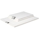 ケント紙 8切/中厚100枚入 【新入荷アイテム】