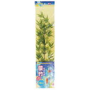 【楽天最安値に挑戦!】笹竹 75cm
