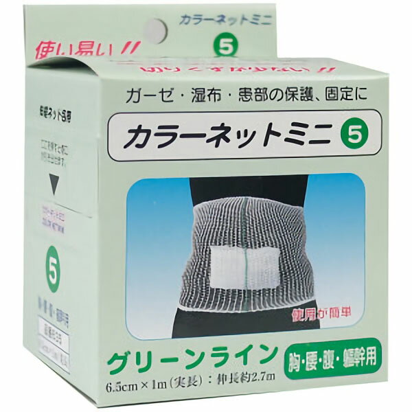 【楽天最安値に挑戦!】カラーネットミニ5号　胸・腹・腰・体幹用