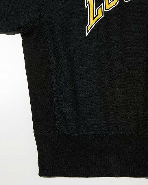 RADIALL [ラディアル] LOW LANE CREW NECK SWEAT SHIRT L/S ローレーンクルーネックスエットシャツロングスリーブ RA24AW-CUT002 BDA