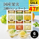 【楽天スーパーSALE】送料無料 ザ・スウィーツ 凍らせて食べるフルーツソルベ 6個入り 熨斗対応 常温 お供え 手土産 お祝い お返し 夏 スイーツ