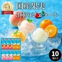 国産果実 凍らせて食べるフルーツシャーベットゼリー 10個入り ザ・スウィーツ 送料無料 熨斗対応 特典付き 御中元 暑中見舞い 夏ギフト 常温 お供え