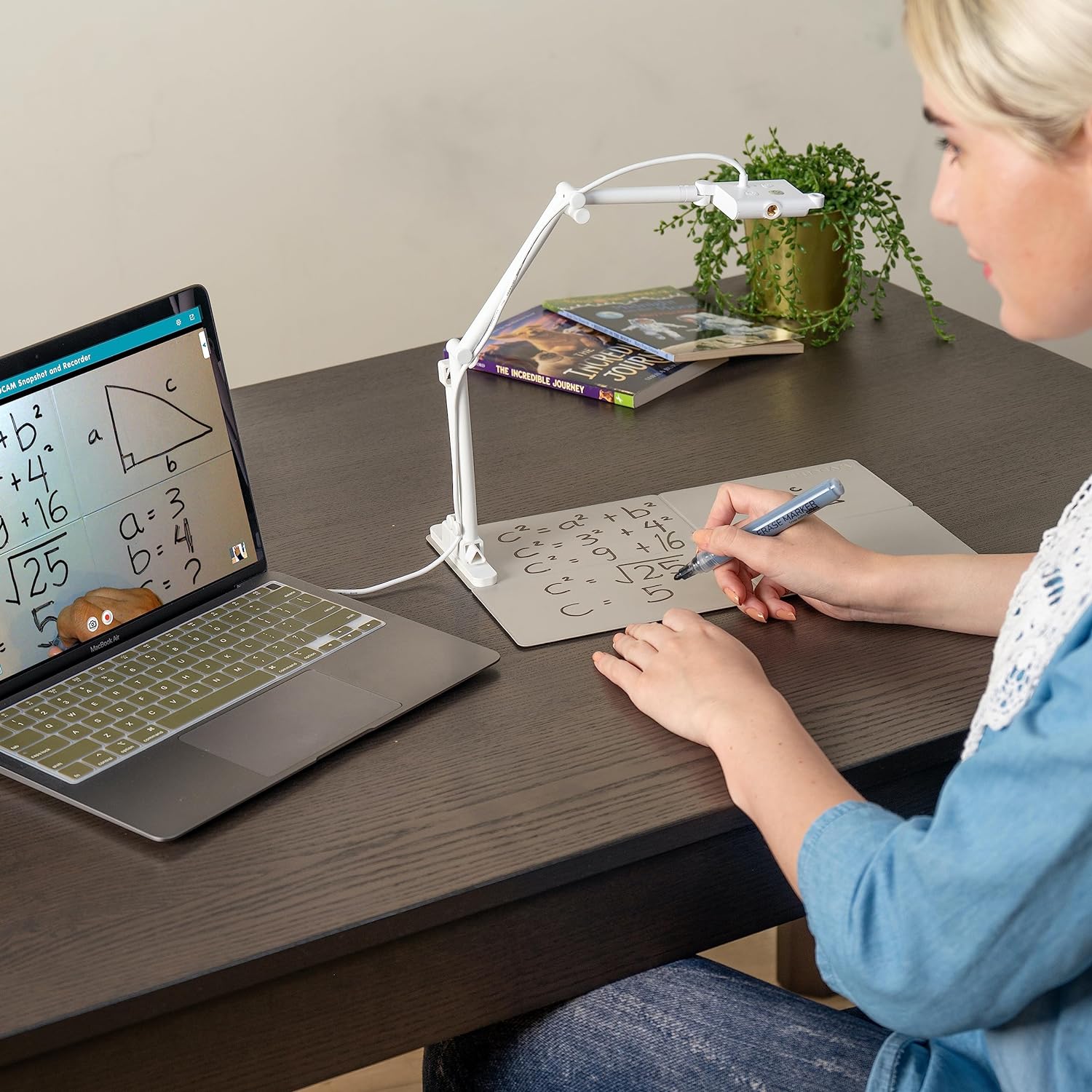 USB��襫���(�ۥ磻�ȥܡ��ɡ��ޡ����դ�)rt391