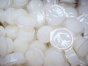 KBファーム プロゼリー 18g 1袋50個入り【昆虫ゼリー】