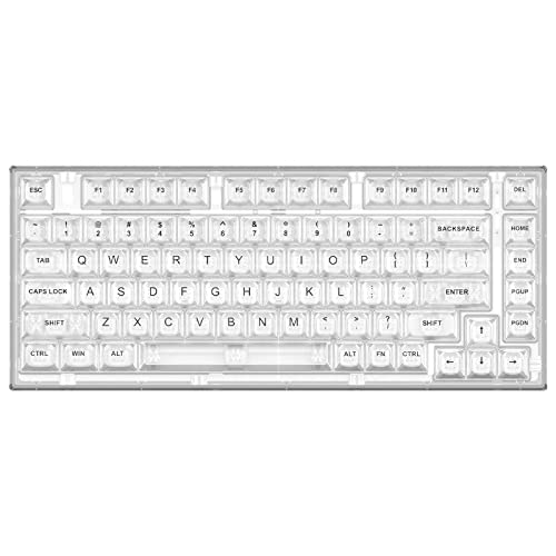 YUNZII X75 ホットスワップメカニカルキーボード 透明なキーキャップ ガスケット装着75キーボード RGBバックライト付き ゲーミングキ YUNZII X75 ホットスワップメカニカルキーボード 透明なキーキャップ ガスケット装着75キーボード RGBバックライト付き ゲーミングキ
