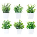 WillingYou 6点セット ミニ 観葉植物 フェイク グリーン 造花 お世話不要 卓上 室内 ギフト