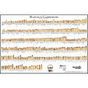 Cartridge Comparison Guide "ハンドガン カートリッジ ポスター" です。 このポスターには、軍隊、法執行機関、民間およびスポーツなど、世界中で使用されているハンドガン (リボルバー&オートマチック) のカートリッジがフルカラーでプリントされています。 お部屋やガレージ、ショップなどに！ サイズ：縦61cm×横91cm (約) 【ポスターの注意事項】 ポスターが折れ曲がったり、線が付かない様に丁寧に保管をしておりますが、海外からの入荷時やお客様への配送時に折れ曲ってしまう場合もございます。 何卒ご理解の上、お買い求めくださいませ。 ※お願い※ 輸入品を含む一部の商品は検品のため開梱させて頂く場合がございます。また、新品であってもパッケージや本体に細かな傷や汚れがある場合がございますので、ご了承のうえお買い上げ頂きますようお願い致します。これらの傷は海外輸送時やアンティーク品のためについたものであり、不良品や中古品ではありませんのでご安心下さい。 ポスター アメリカ 銃 銃弾 カートリッジ 実包 サバゲー サバイバルゲーム鳥獣対策 鳥獣撃退　