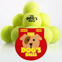 【ペット用品】テニスボール 12個パック 【The Dog's Balls】