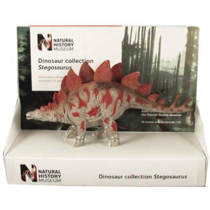 【恐竜 フィギュア】 英国自然史博物館 ステゴサウルス 1/40スケール【インテリア 雑貨 像 模型 置物 プレゼント】