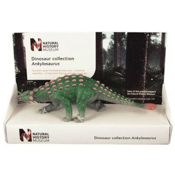 【恐竜 フィギュア】 英国自然史博物館 アンキロサウルス 1/40スケール【インテリア 雑貨 像 模型 置物 プレゼント】