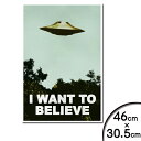 ポスター X-ファイル I Want To Believe TVシリーズ 劇中ポスタータイプ 46cm×30.5cm ■ X-FILES 海外ドラマ FBI フォックス モルダー デイヴィッド ドゥカヴニー 雑貨 インテリア