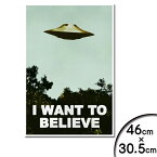 ポスター X-ファイル I Want To Believe TVシリーズ 劇中ポスタータイプ 46cm×30.5cm ■ X-FILES 海外ドラマ FBI フォックス・モルダー デイヴィッド・ドゥカヴニー 雑貨 インテリア