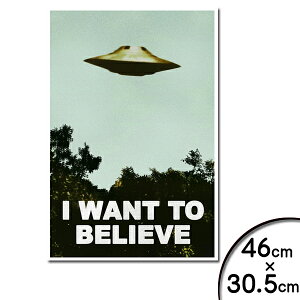 ポスター X-ファイル I Want To Believe TVシリーズ 劇中ポスタータイプ 46cm×30.5cm ■ X-FILES 海外ドラマ FBI フォックス・モルダー デイヴィッド・ドゥカヴニー 雑貨 インテリア