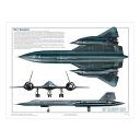 ポスター SR-71 ブラックバード 超音速 高高度戦略偵察機 46cm×61cm ■ Blackbird USAF 米軍 アメリカ空軍 ミリタリー 雑貨 インテリア ガレージ