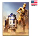 メタルサイン スターウォーズ C-3PO R2D2 看板 縦41cm×横32cm アメリカ製 ■ STAR WARS SF C3PO 壁掛け サイン ショップ ガレージ ブリキ看板