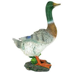 Design Toscano デザイントスカーノ マガモ 鴨 フィギュア 高さ35cm ■ インテリア 雑貨 オブジェ 置物 カモ 動物 リアル