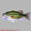 ステッカー バス 切り抜きデカール 縦8cm×横17cm ■ wild wings 魚 フィッシュ 釣り フィッシング 雑貨 小物 サイン カーステッカー(3)