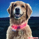 ナイトアイズ LED ライトアップ 犬用 首輪 レッド M Lサイズ ■ Nite Ize ペット用品 ドッグ
