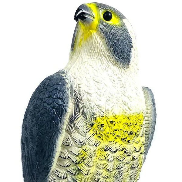 鳥獣駆除 デコイ イーグル オブジェ ■ ワシ 鷲 フィギュア カカシ インテリア 雑貨 像 置物 [2]