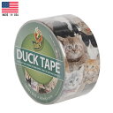 万能テープ ダックテープ(ダクトテープ) キティ・キャット柄 48mm×9.1m Made in USA ■ DUCKTAPE ネコ 子猫 猫 雑貨 パーティー デコレーション
