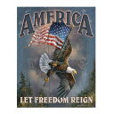 【ブリキ看板】イーグル アメリカン フラッグ LET FREEDOM REIGN 看板 40.5cm×32cm【USA 鷹 星条旗 雑貨 インテリア ガレージ 店舗 山 ブルー レッド イエロー】