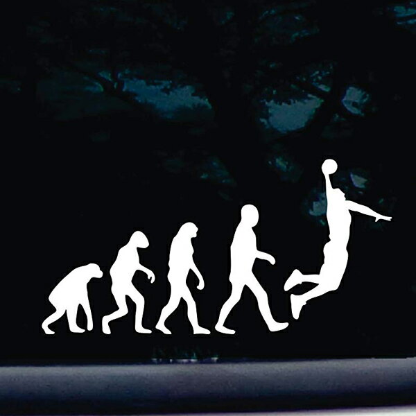 【ステッカー シール】バスケ 進化論 デカール 約9.5cm×約19cm【動物 ジョーク バスケットボール ダンクシュート 面白い 雑貨 小物 サイン】