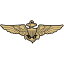 ステッカー ネイビー アビエイター ウィングス エンブレム 約4cm×9.5cm ■ Navy Aviator Wings 海軍飛行士 米軍 ミリタリー 雑貨 小物