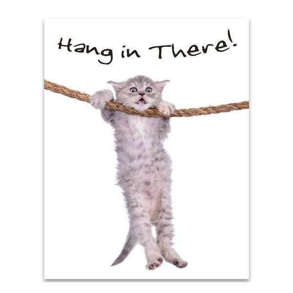 乐天商城 - プリントアート ネコ Hang in There 輸入ポスター 35.5cm×28cm ■ ポスター 子猫 猫 キャット アニマル 動物 インテリア