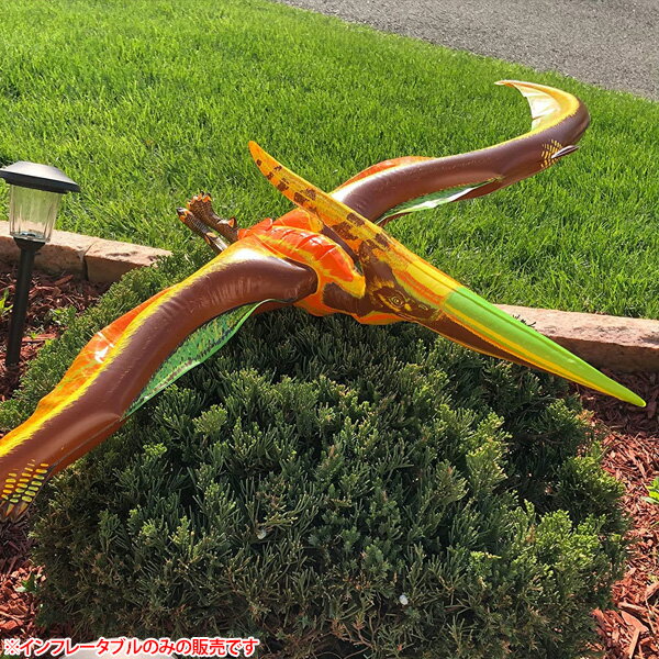 恐竜 プテラノドン インフレータブル 翼幅57インチ 約145cm ■ 空気ビニール玩具 インテリア トイ おもちゃ バルーン 飾り デコレーション