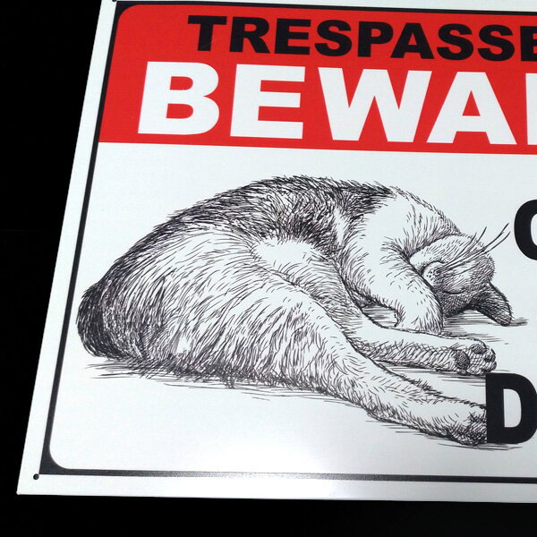 �᥿�륵���� 