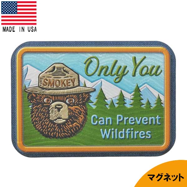 缶マグネット "ONLY YOU" スモーキーベア ブリキ 縦6cm×横9cm アメリカ製 ■ SMOKEY BEAR クマ 熊 動物 磁石 雑貨 小物のサムネイル
