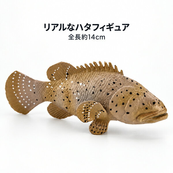 楽天市場】魚 オブジェ（置物｜インテリア小物・置物）：インテリア