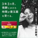 【公式】 万田酵素 マルベリー 2箱 (粒/約2ヵ月分) サプリ 美容 栄養 発酵 発酵食品 万田 酵素 果物 植物性 くわの実 健康 ヘルシー 健康習慣 おいしい 人気 3